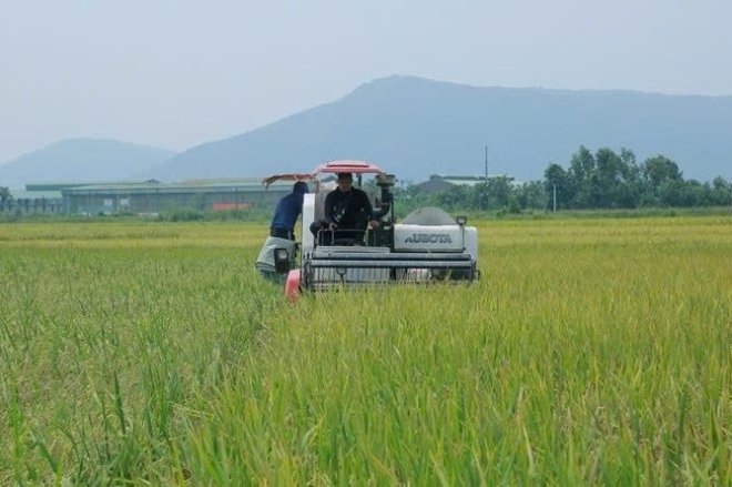 N2.jpg